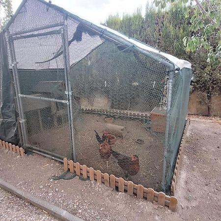 Casita De Invitados En Otura Dış mekan fotoğraf